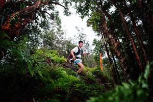 BIB: 
                            <button type="button" onclick="openModal(26203620)" class="btn btn-primary btn-sm float-right btn-popup" data-toggle="modal" data-target=".modal-high-quality">
                        <i class="fas fa-shopping-cart"></i> Add to Cart
                    </button>
                                            <button type="button" onclick="isThisMe(26203620, true)" class="btn btn-success btn-sm float-right btn-popup btn-isme hidden" data-toggle="tooltip" data-placement="bottom" title="นี่คือรูปของคุณใช่ไหม คลิกที่นี่เพื่อเอาเข้าอัลบั้ม">
                        <i class="fas fa-plus"></i> Add to album
                    </button>
                    <button type="button" onclick="isThisMe(26203620, false)" class="btn btn-warning btn-sm float-right btn-popup btn-isnotme hidden">
                        <i class="fas fa-ban"></i> Remove from album
                    </button>